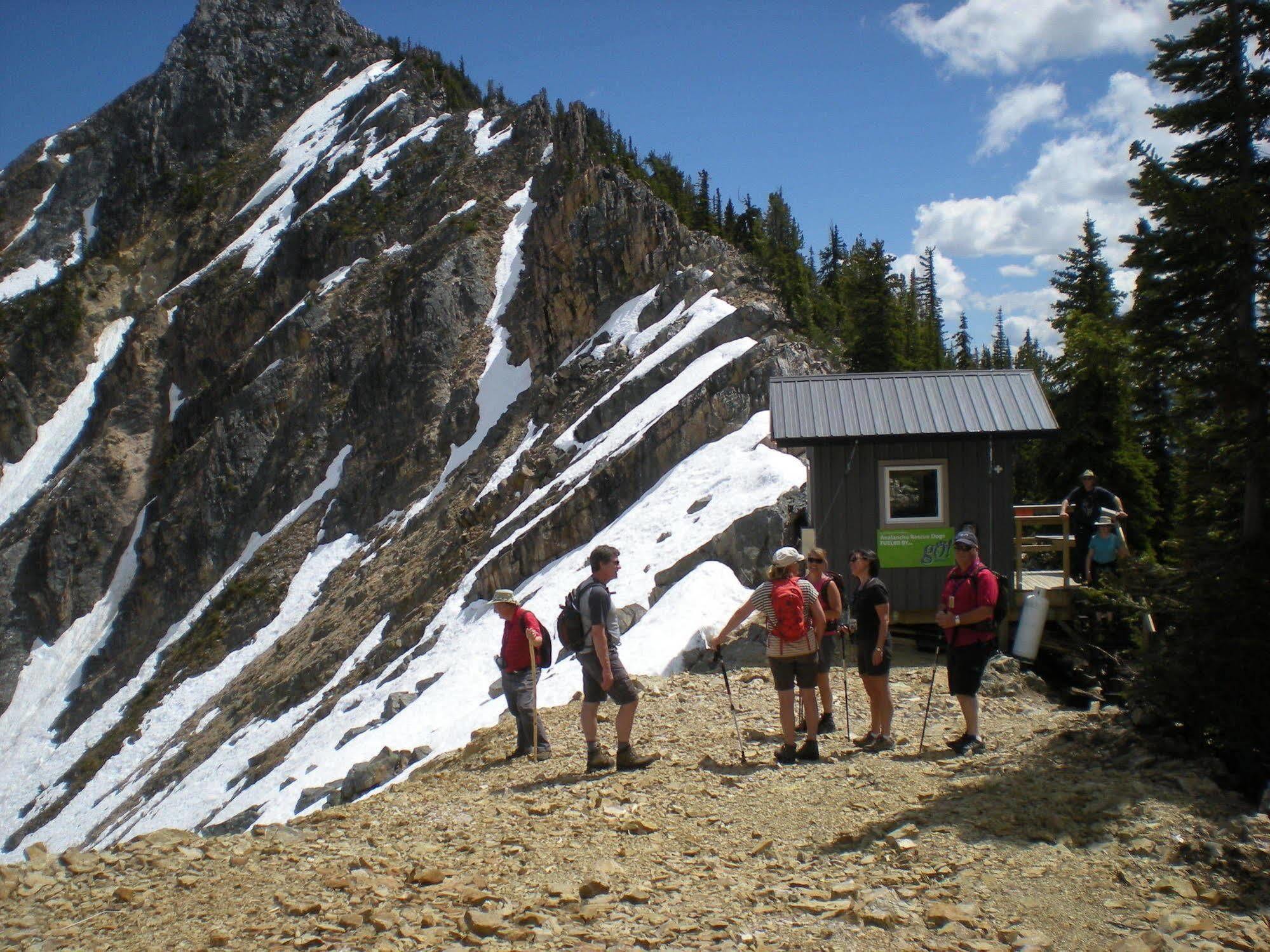 Vagabond Lodge At Kicking Horse ゴールデン エクステリア 写真