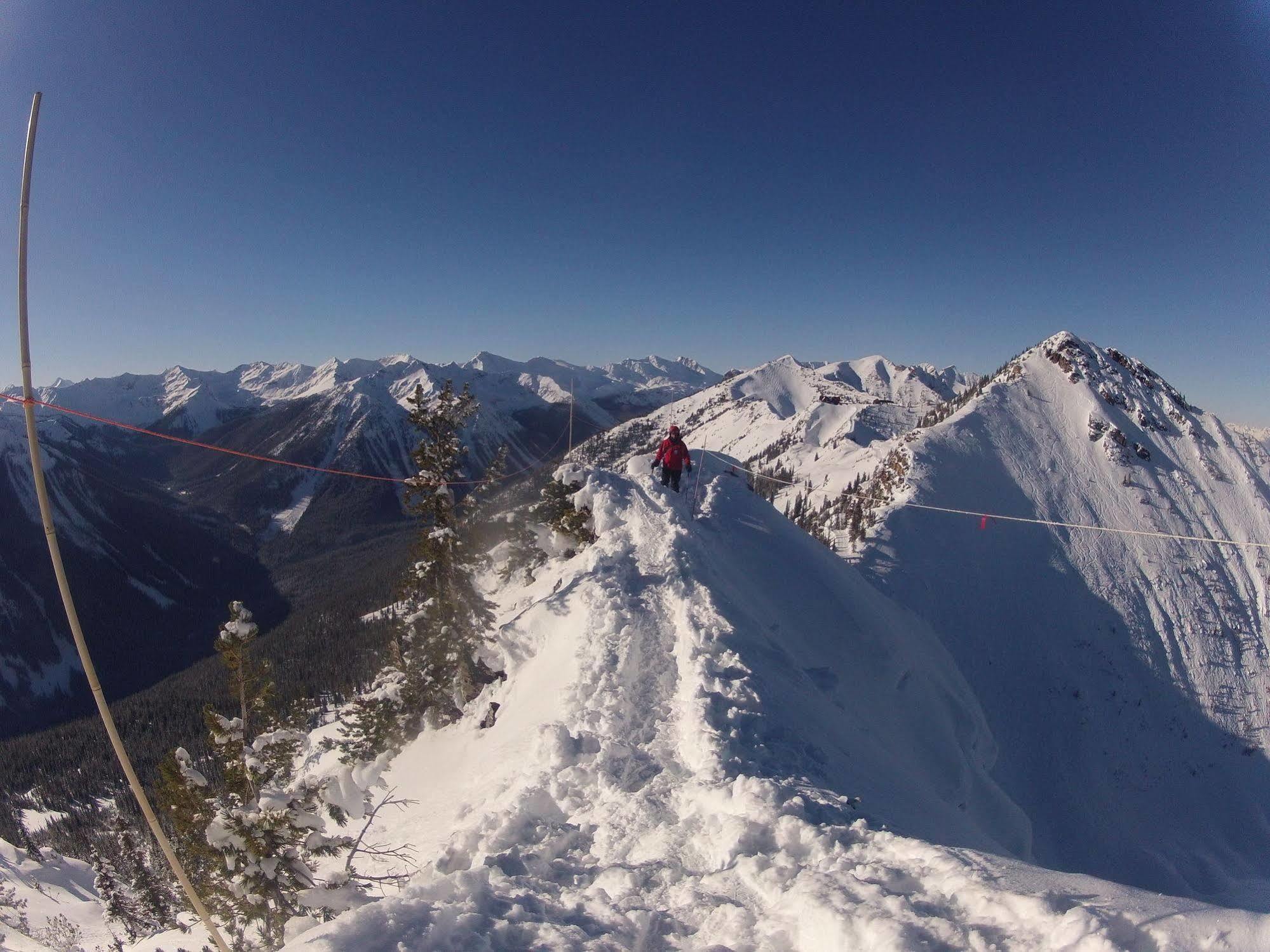 Vagabond Lodge At Kicking Horse ゴールデン エクステリア 写真